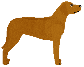 Dragosani A LITTLE CRAZY — “Carramba”