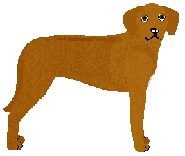 Profile image of Dragosani A LITTLE CRAZY