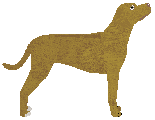 Dragosani UNTIL DAWN — “Dagome”