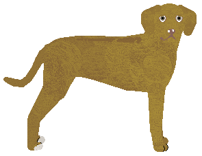 Profile image of Dragosani UNTIL DAWN