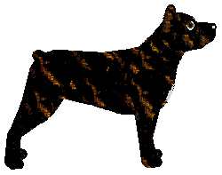 Loveshack BRIDE TO BE — “Nana”