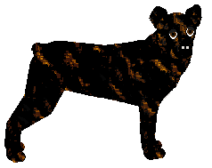 Profile image of Loveshack BRIDE TO BE