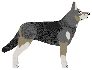 Energizing One Love, One Heart — “Sam”