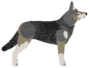 Energizing One Love, One Heart — “Sam”