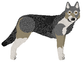 Profile image of Energizing One Love, One Heart