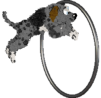 Buttloaf's Chew on This, Human. — “Tater Tot Terror”