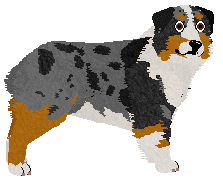 Profile image of Blizzard Oktoberfest