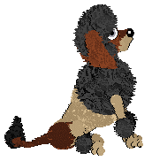 Profile image of SeaGlass's Wild Bull Pokemon