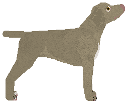 Dragosani ZNAJDĘ W SOBIE MOC — “Jinx”