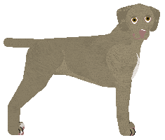 Profile image of Dragosani ZNAJDĘ W SOBIE MOC