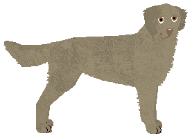 Profile image of Dragosani ODNAJDĘ WSZYSTKIE BO