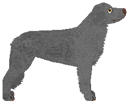 Dragosani CZY JUŻ WSZYSTKIE MASZ — “Gengar”