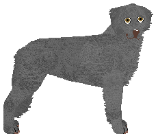 Profile image of Dragosani CZY JUŻ WSZYSTKIE MASZ