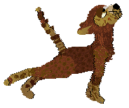 Profile image of SeaGlass's Akin to an Allium