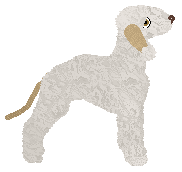 Dragosani EASY FIZZY — “Chapek”