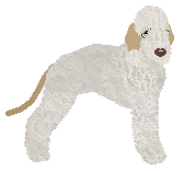 Profile image of Dragosani EASY FIZZY