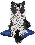 Come Bye's Fearless — “Maisie”