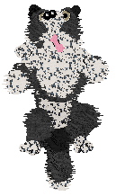 Come Bye's Fearless — “Maisie”