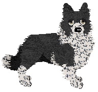 Come Bye's Fearless — “Maisie”