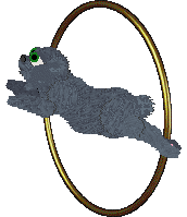 Fries at Twin Squeaks — “Fries”