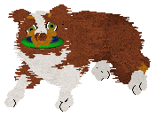 Come Bye's New Look — “Gingerbell”