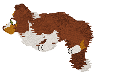 Come Bye's New Look — “Gingerbell”