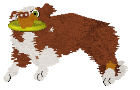 Come Bye's New Look — “Gingerbell”