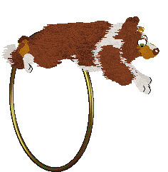 Come Bye's New Look — “Gingerbell”