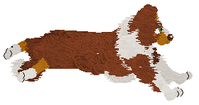 Come Bye's New Look — “Gingerbell”