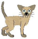 HK's On a Trail of Fire — “Ontario”