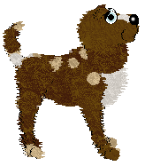 HK's It's Quite Exciting — “Vintage”