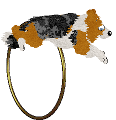 Come Bye's Magic Dune — “Jutta”