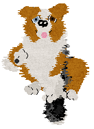 Come Bye's Magic Dune — “Jutta”