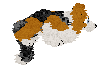 Come Bye's Magic Dune — “Jutta”