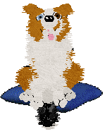 Come Bye's Magic Dune — “Jutta”