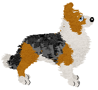 Profile image of Come Bye's Magic Dune