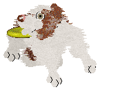 Come Bye's Myrrhe — “Mirre”