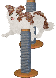 Come Bye's Myrrhe — “Mirre”