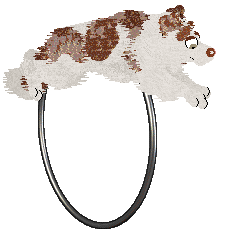 Come Bye's Myrrhe — “Mirre”