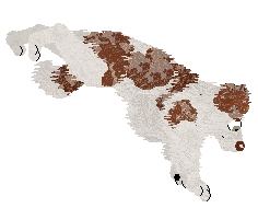 Come Bye's Myrrhe — “Mirre”