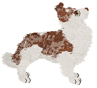 Profile image of Come Bye's Myrrhe