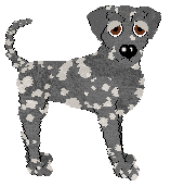 Profile image of Sz’s Part of Your World