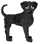 Profile image of Sz's For a Moment, I Shine