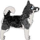 Profile image of Heirloom's Darkthrone