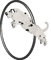 King's Pintsize Dynamite at Perfume — “Neckoil”