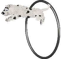 King's Pintsize Dynamite at Perfume — “Neckoil”