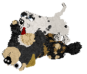 King's Pintsize Dynamite at Perfume — “Neckoil”