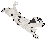 King's Pintsize Dynamite at Perfume — “Neckoil”