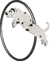 King's Pintsize Dynamite at Perfume — “Neckoil”