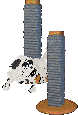 King's Pintsize Dynamite at Perfume — “Neckoil”